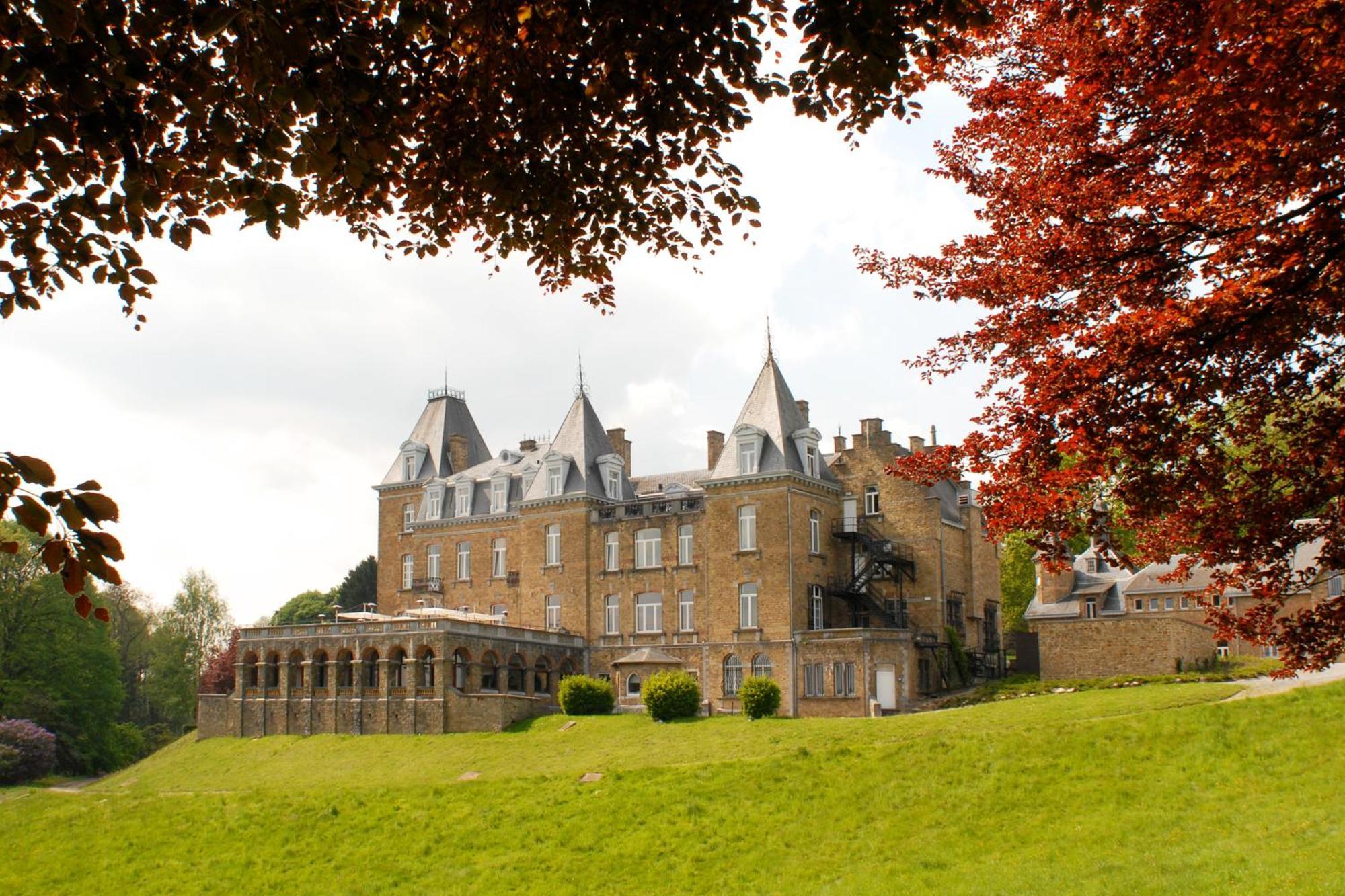 Domaine De Ronchinne - Chateau Et Ecuries Maillen Kültér fotó